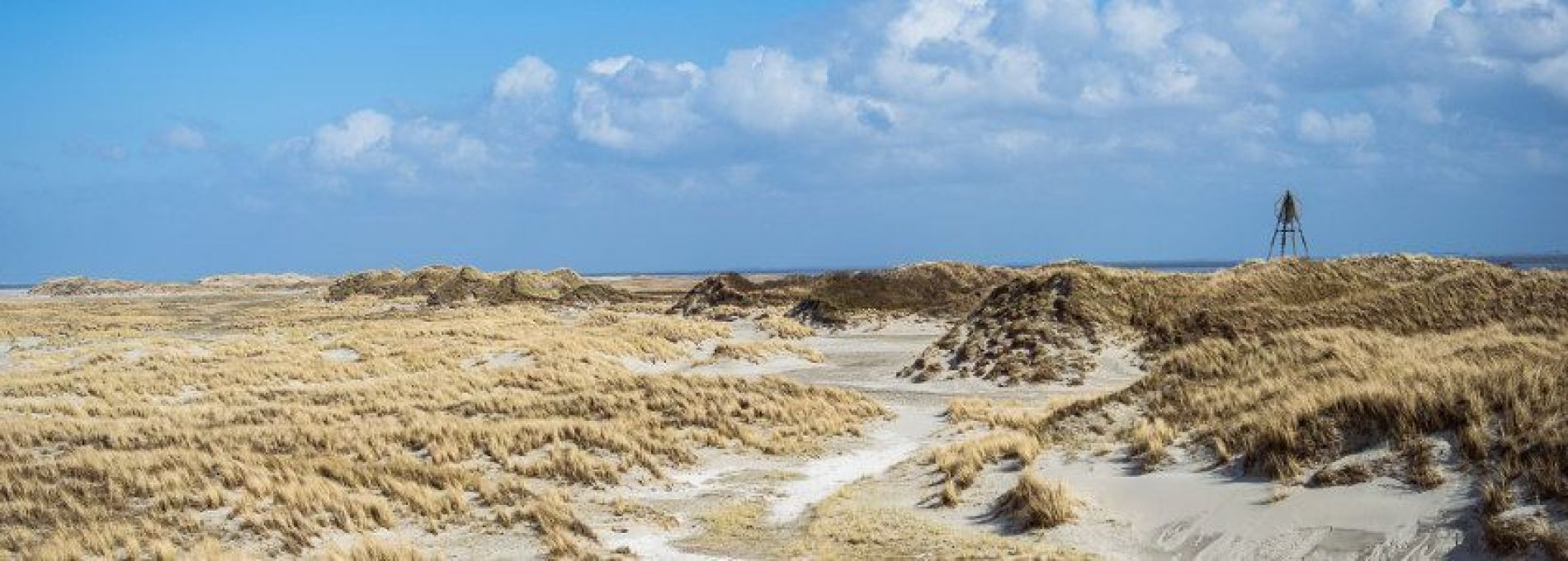 Frequently asked questions about cancellation - Tourist Information Centre VVV Ameland.