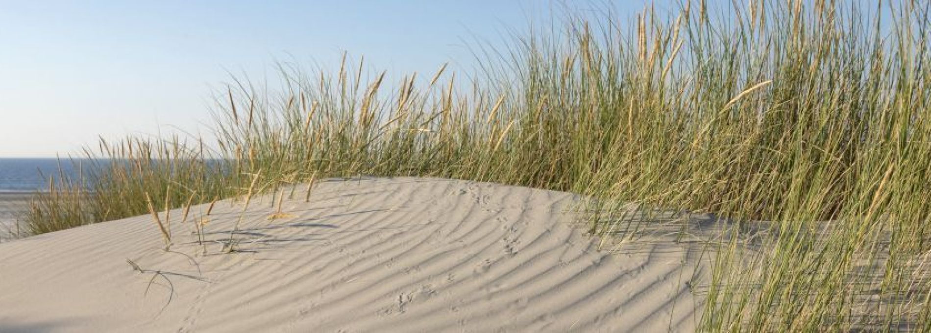 Frequently asked questions about activities and events on Ameland - Tourist Information Centre VVV Ameland.
