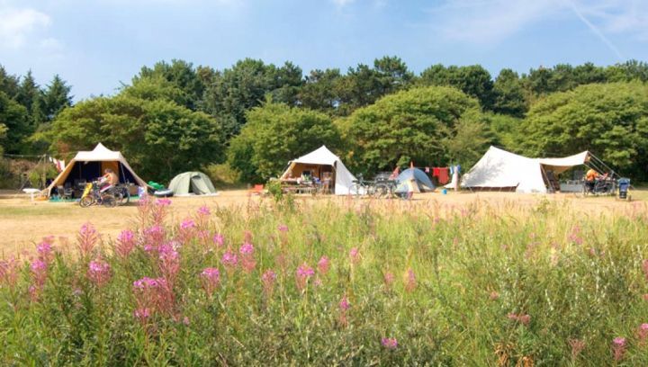 Camping on Ameland - Tourist Information 