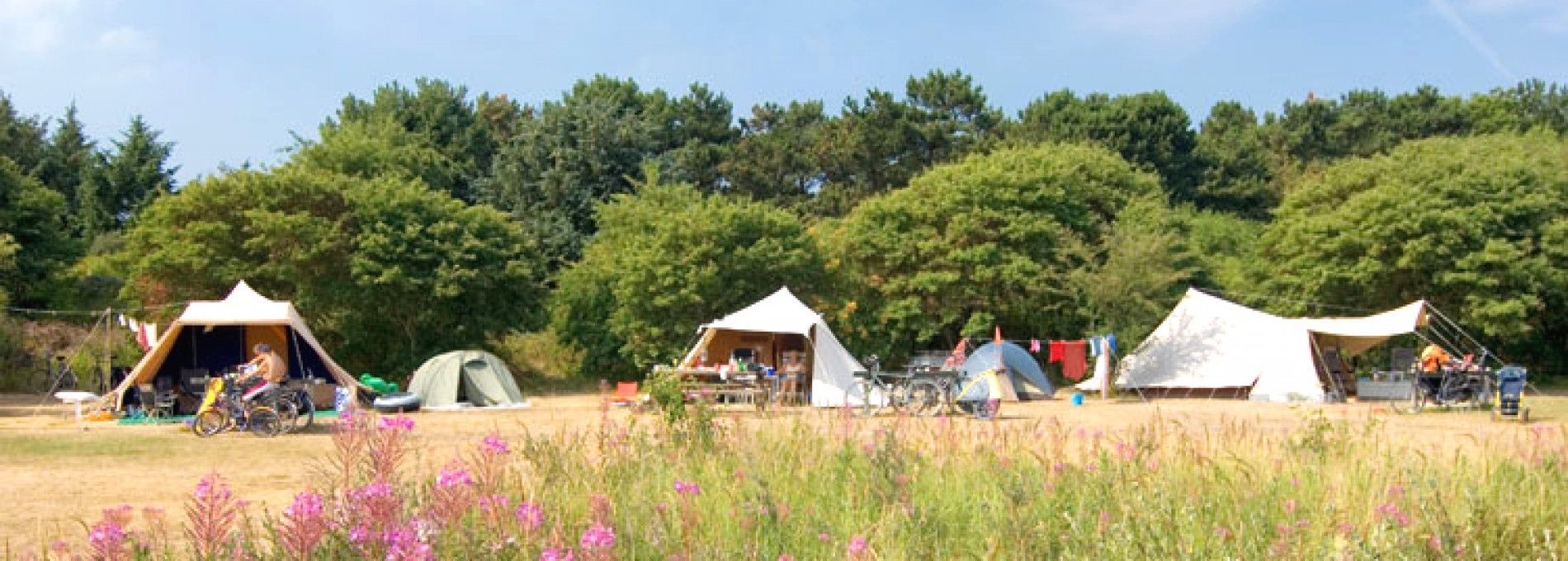 Camping on Ameland - Tourist Information 