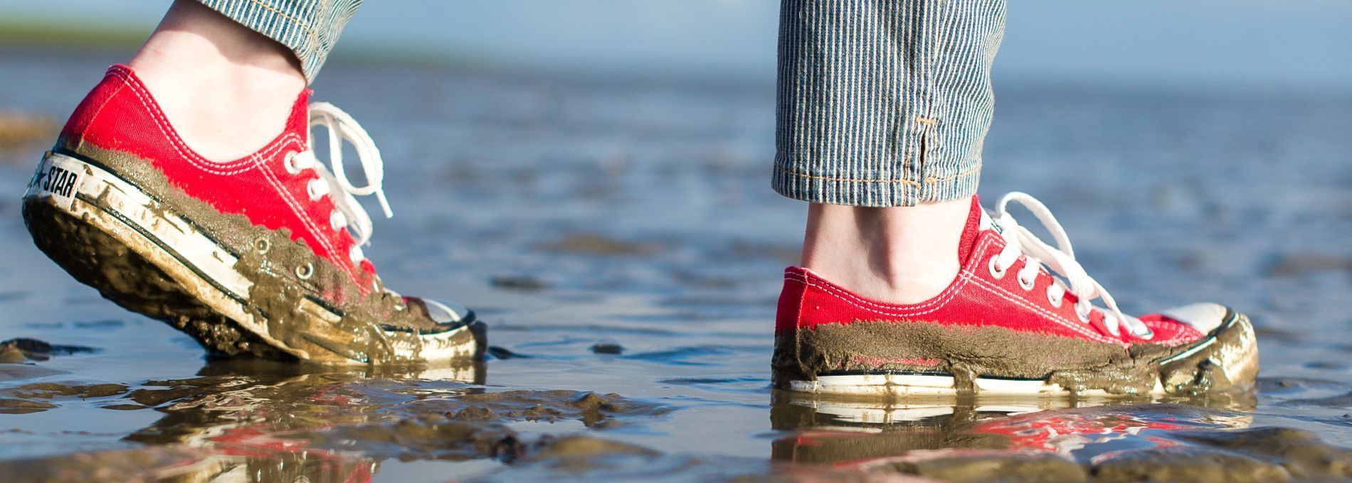 Mudflat excursions - Tourist Information