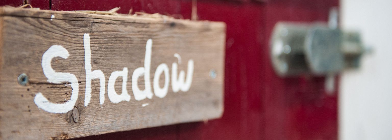 Tour Film Set Penny's Shadow - VVV Ameland
