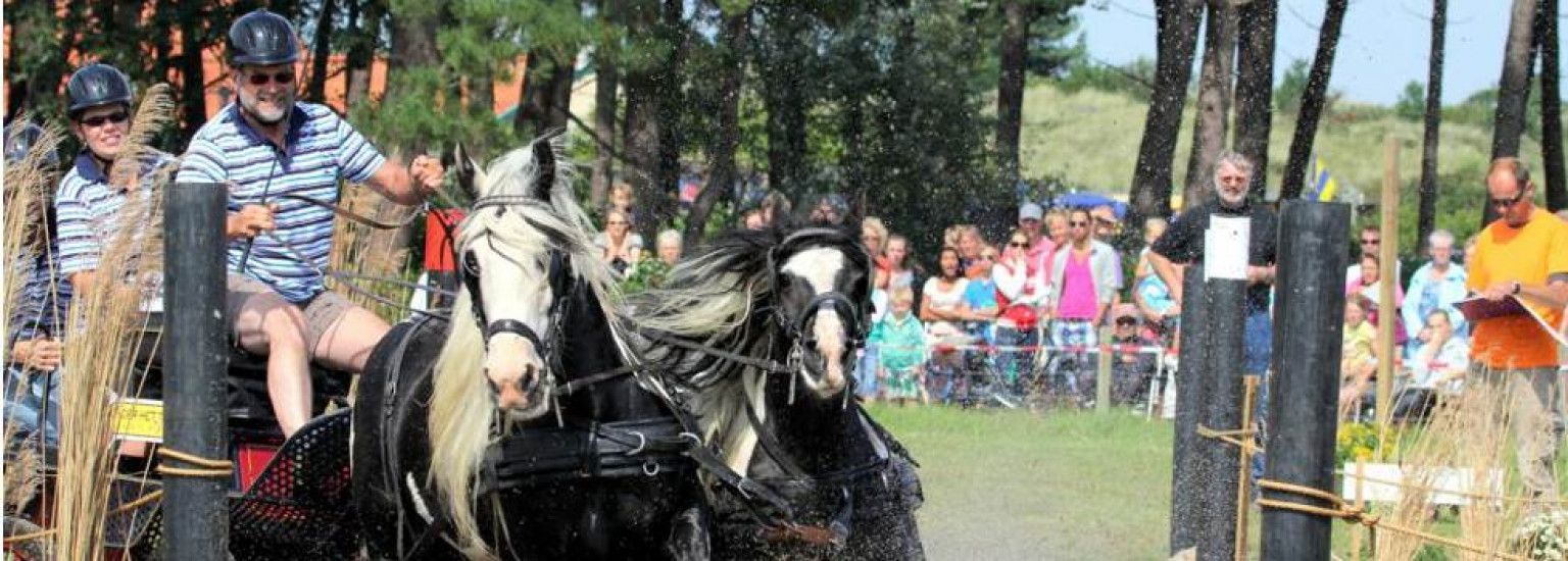 Horse Marathon - VVV Ameland