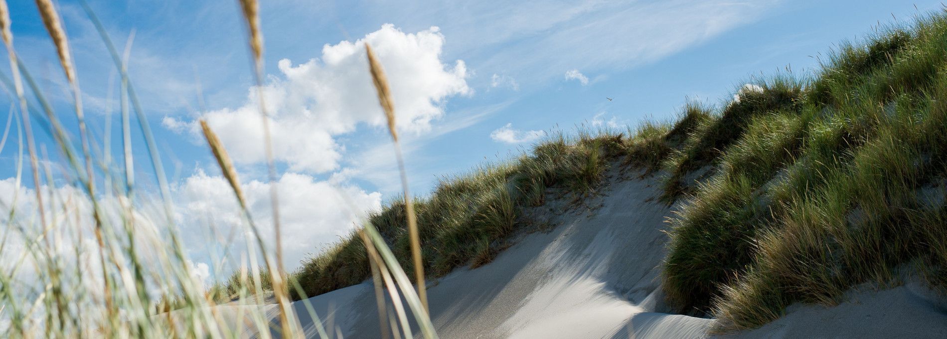 Holiday homes Hollum 5-6 persons - Tourist Information