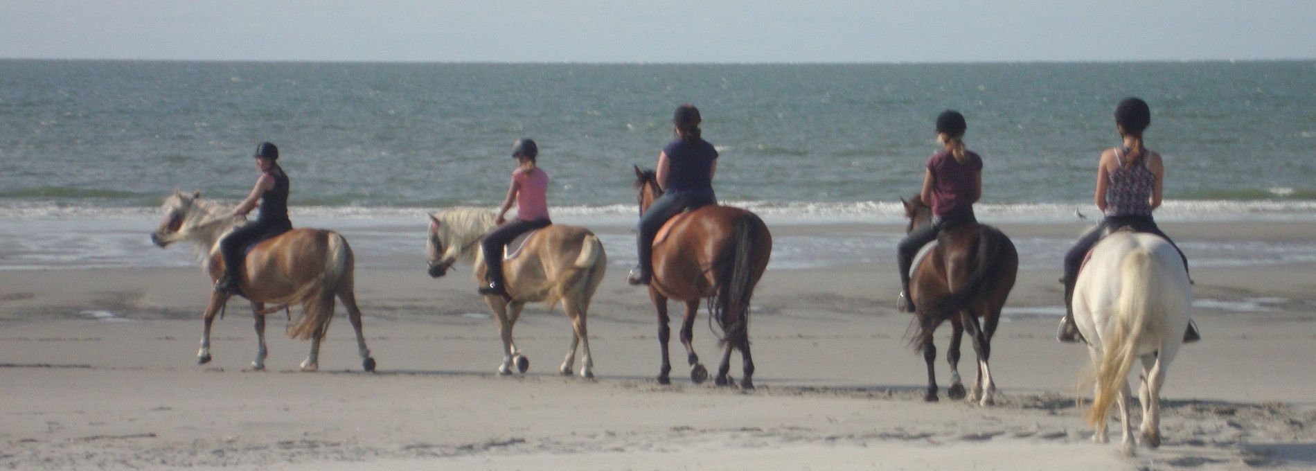 De Hollumer Trap - VVV Ameland