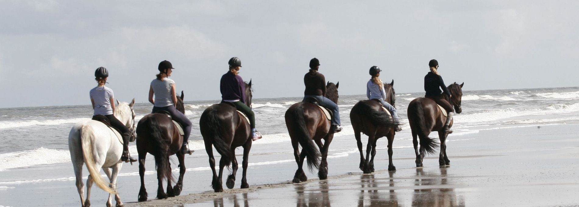 Riding stable 't Jutterspad - Tourist Information 