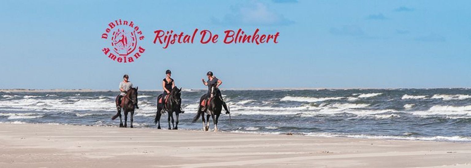 Riding stable de Blinkert - Tourist Information