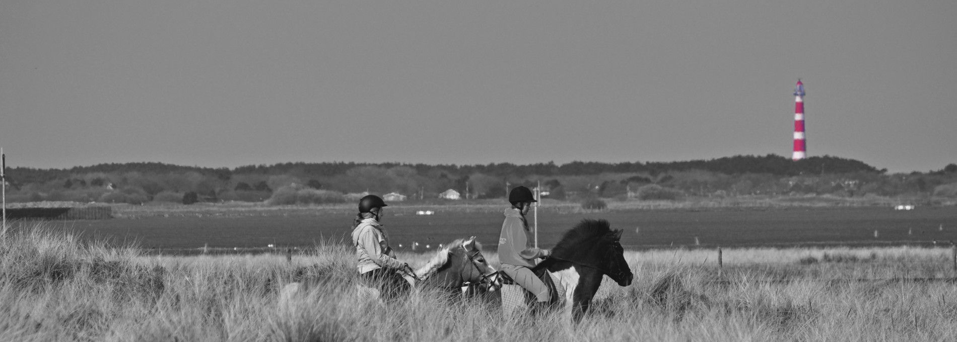 Riding stable Le Cheval - Tourist Information Ameland