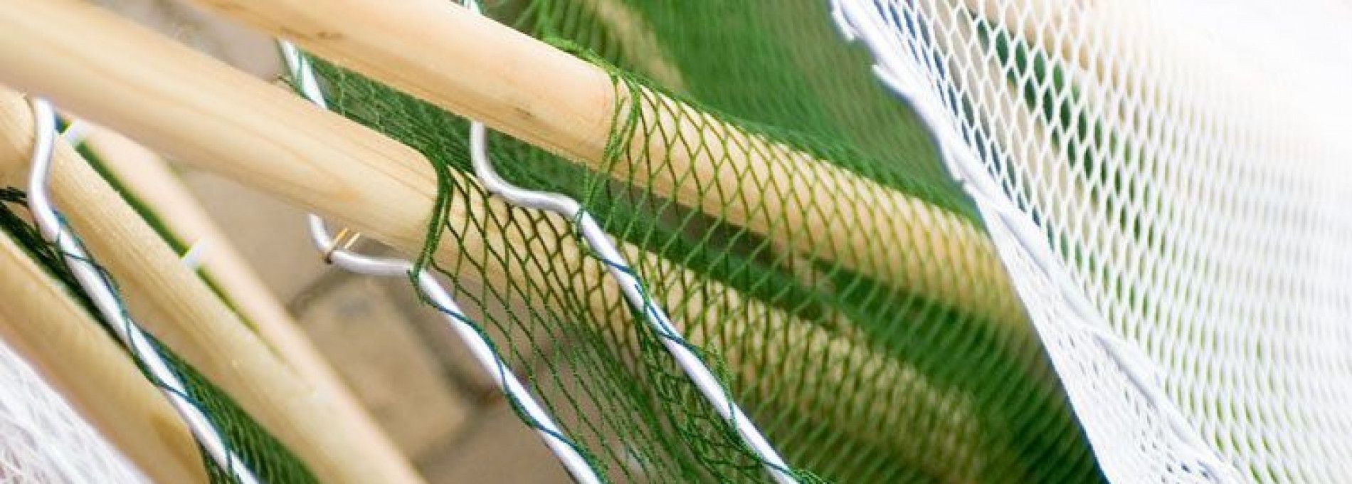 Fishing on Ameland - Tourist Information