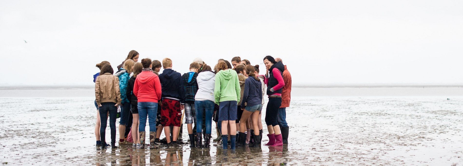 Mudflat excursion - Tourist Information 