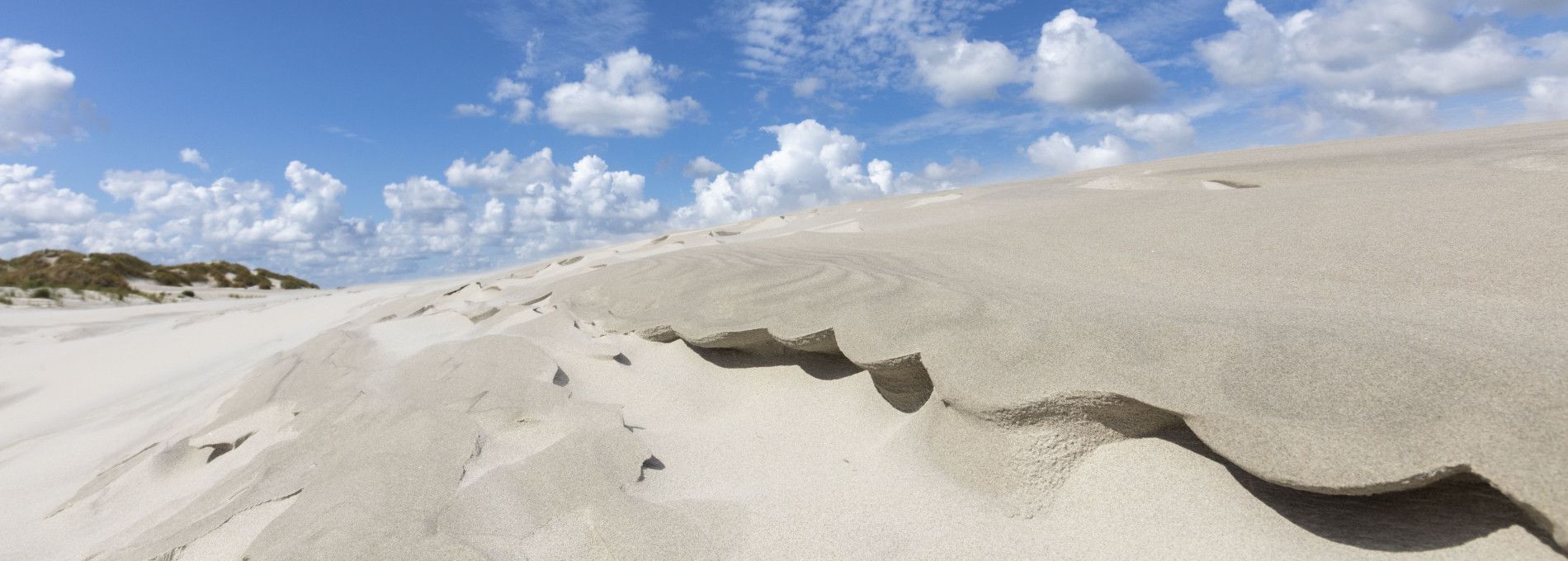 Beach and shell excursion - Tourist Information