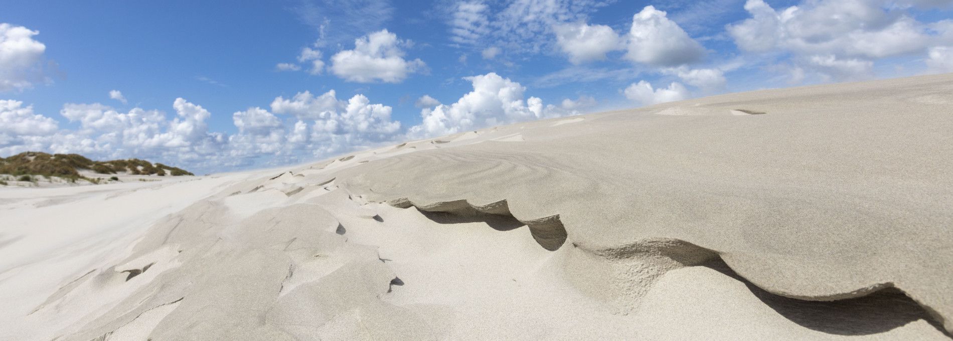 Beach and shell excursion - Tourist Information 