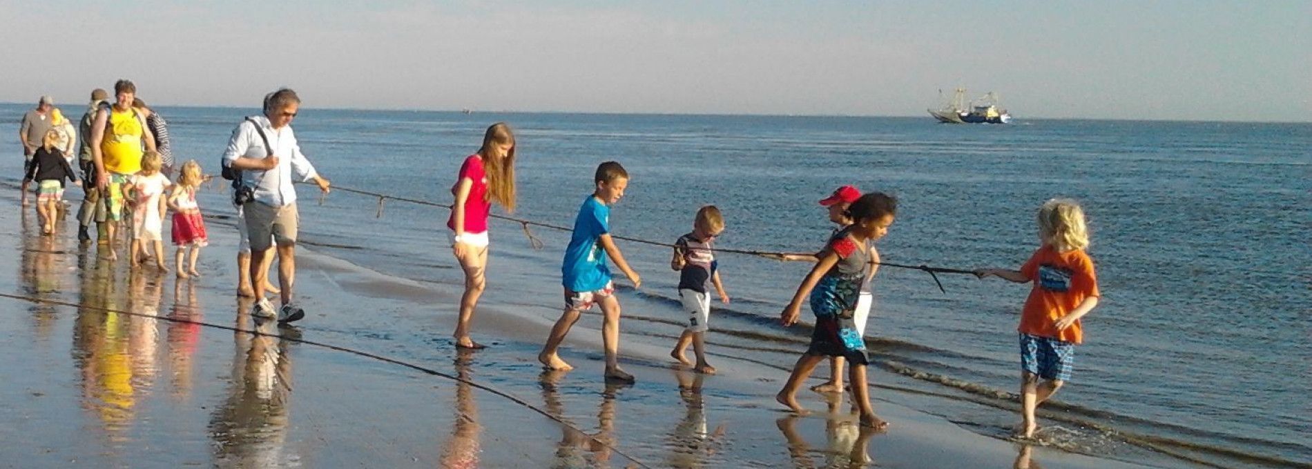 Trawling at the beach - Tourist information