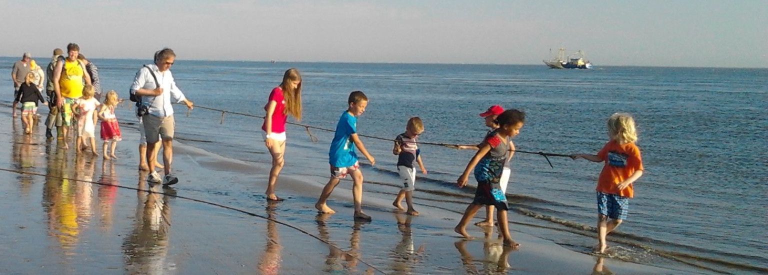 Trawling at the beach - Tourist information 