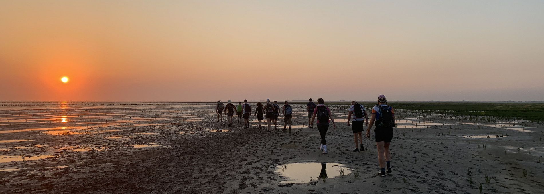 Mudflat wandering tour - Tourist Information 