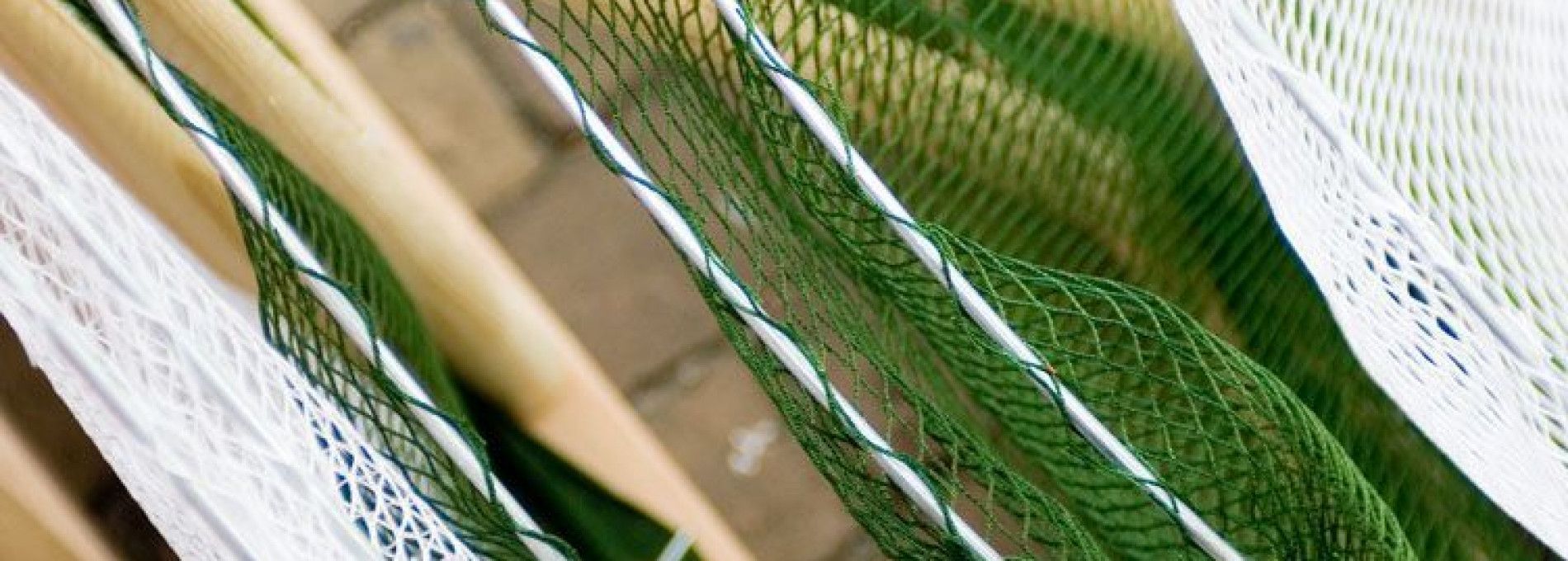 Fishing at the Wadden Sea - Tourist Information 