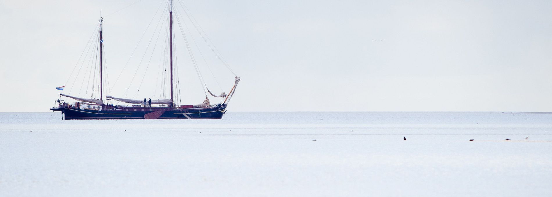 Mudflat hiking or -hopping - Tourist Information 