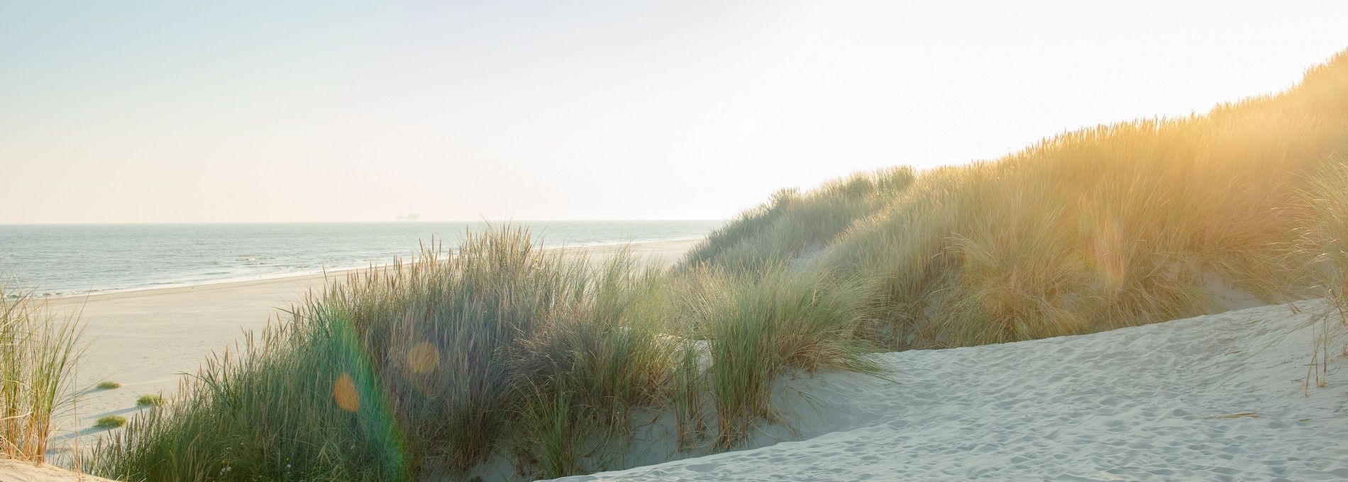 Ameland - Schiermonnikoog - Mudflat Hopping - Tourist Information
