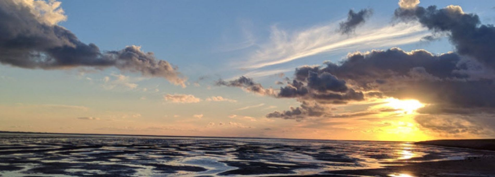 Wad’n Mindfulness - VVV Ameland