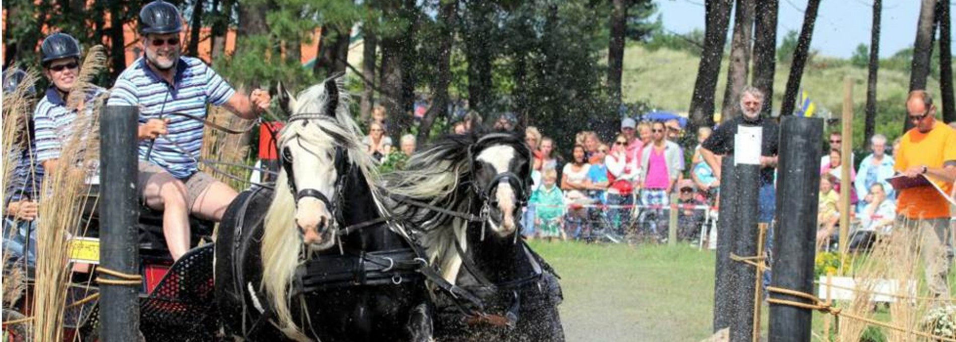 Horse marathon - Tourist Information 