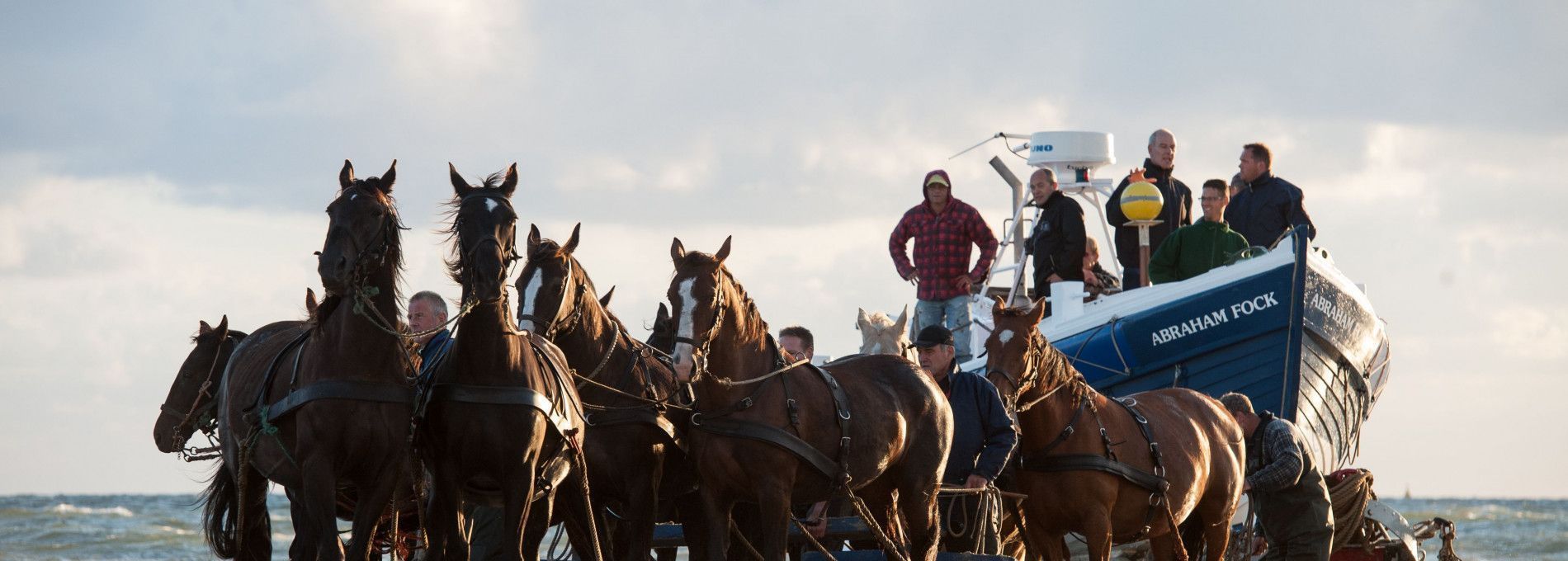 Demonstration horse-drawn rescue boat - Tourist Information