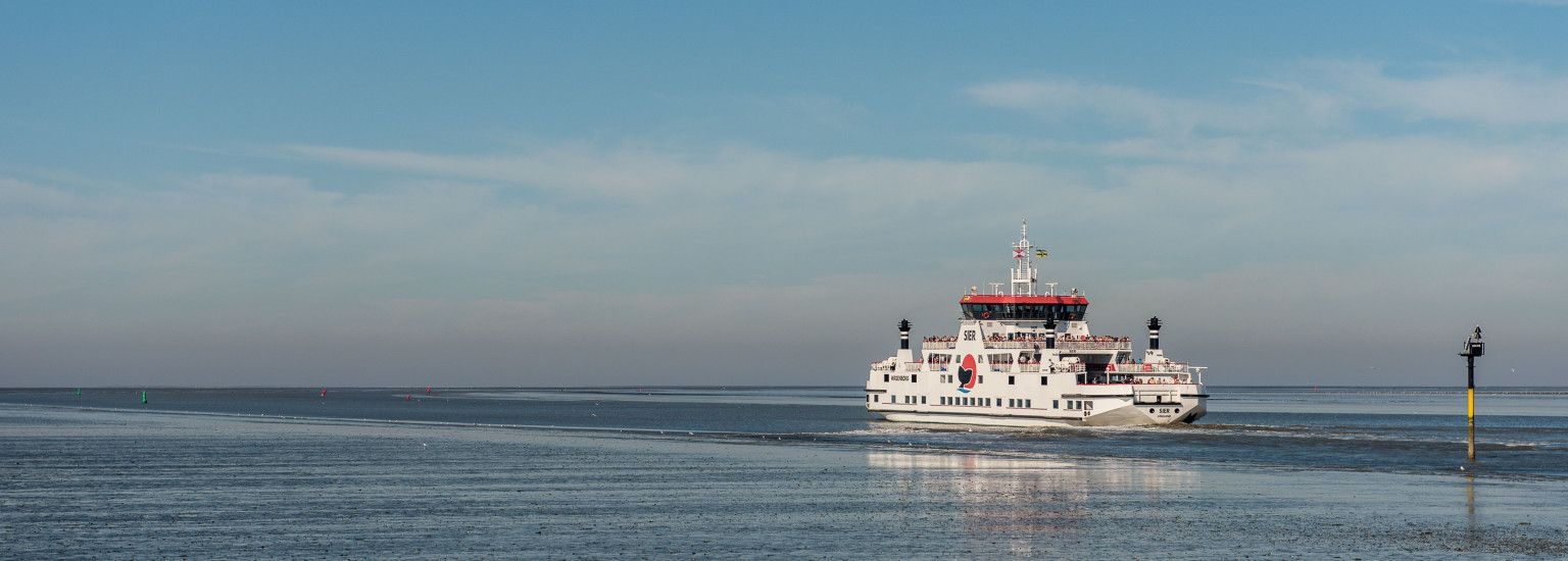 Webcam Harbor - Tourist information
