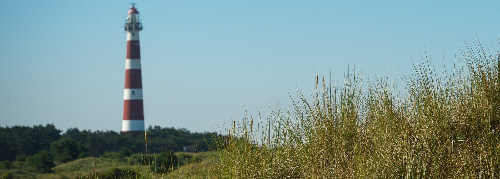 About Ameland - Tourist Information Cenre 