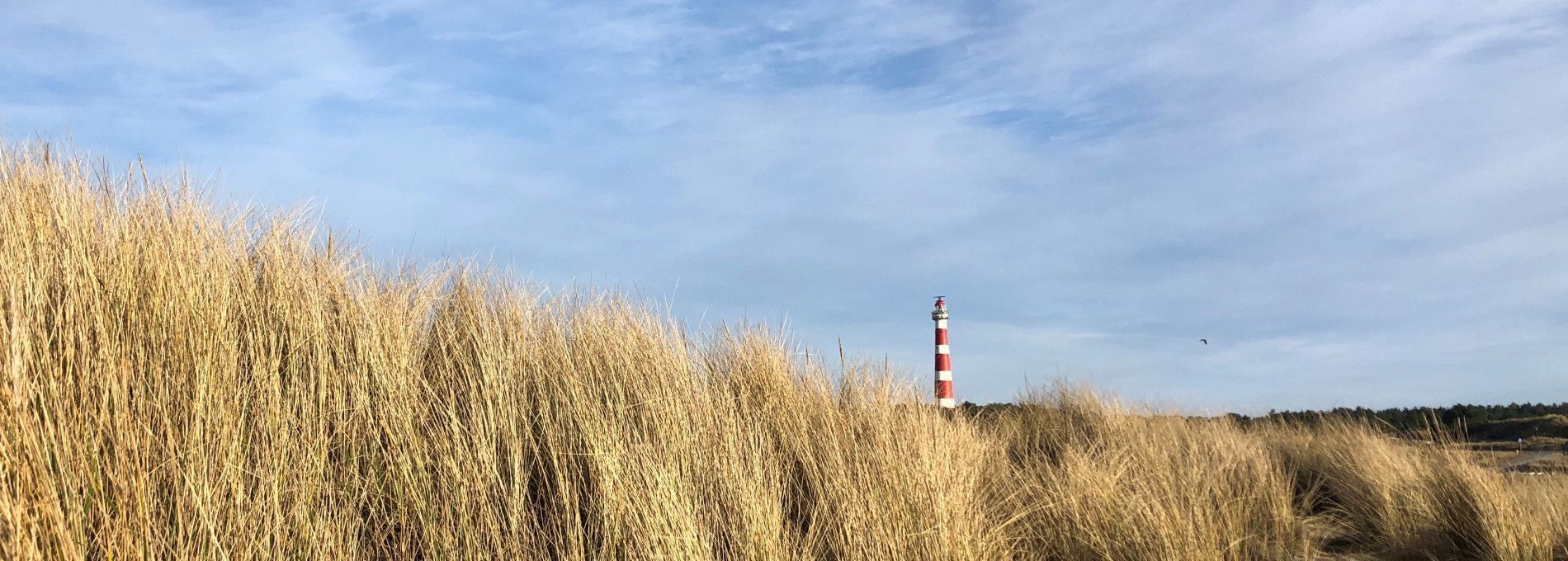 Origins of  Ameland - Tourist Information 