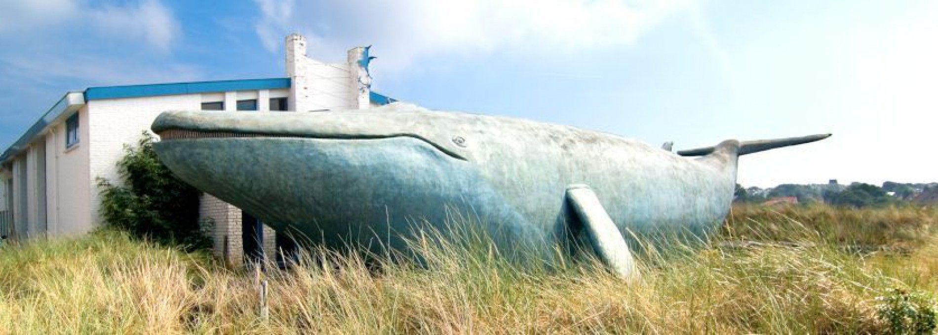 Whaling - Tourist Information Centre (VVV) Ameland