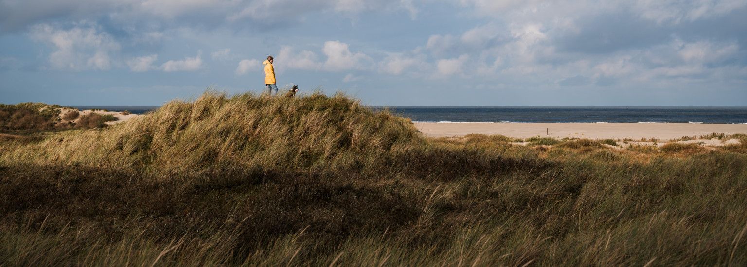 The Four Seasons on Ameland - VVV Ameland