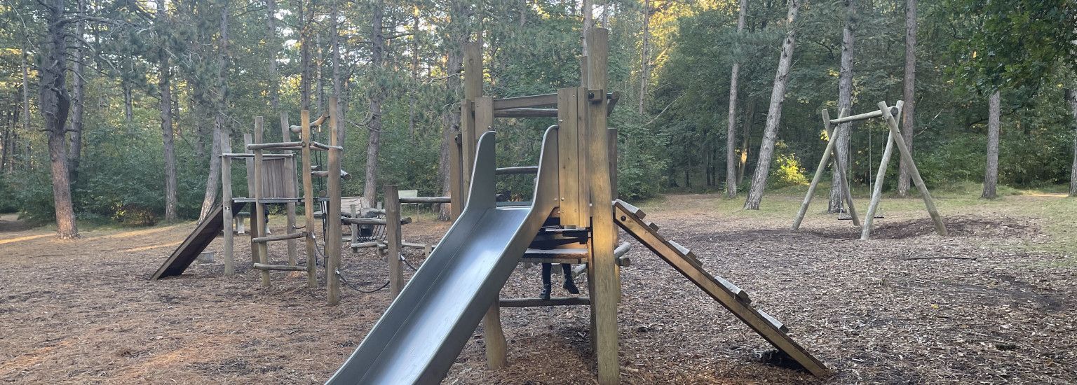 Playing in the Hollumer forest - VVV Ameland