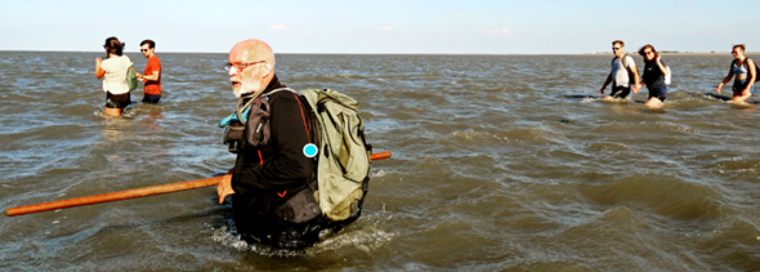 Tidal flat walks - VVV Ameland
