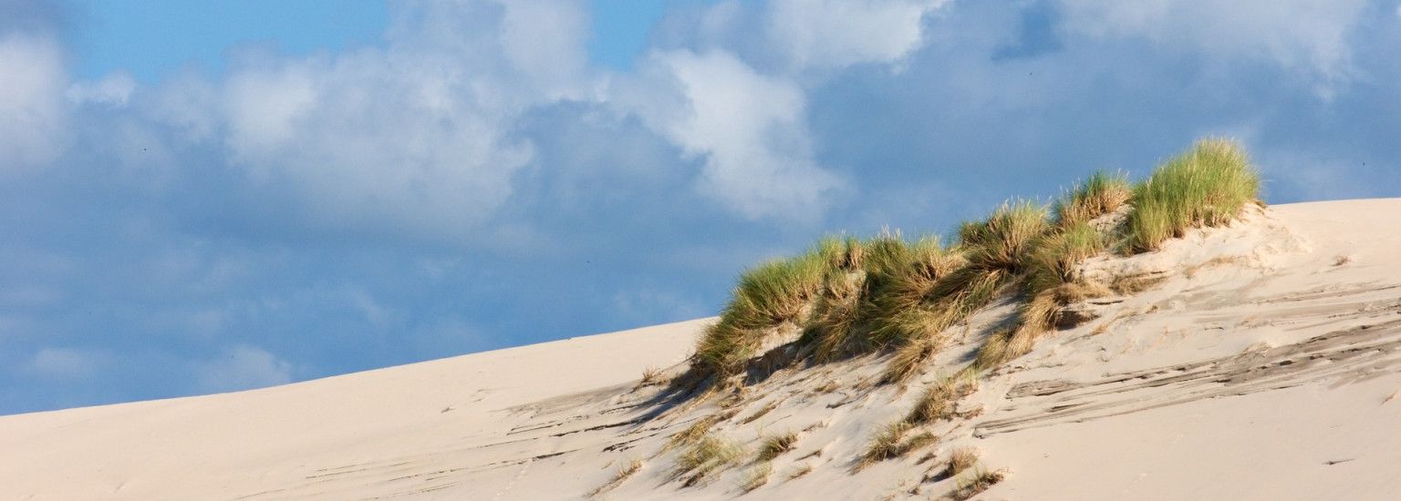Day Trip to Ameland: Island Feeling in One Day - VVV Ameland