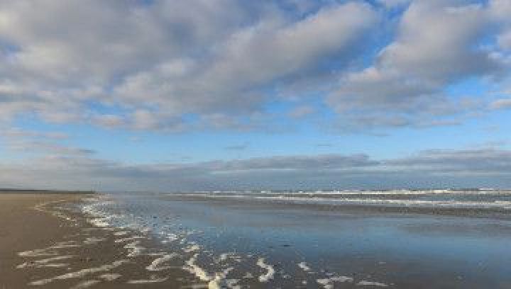 Dead tide - Tourist Information 'VVV' Ameland