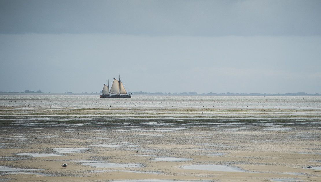 Rhythm of ebb and flow - Tourist Information 'VVV' Ameland