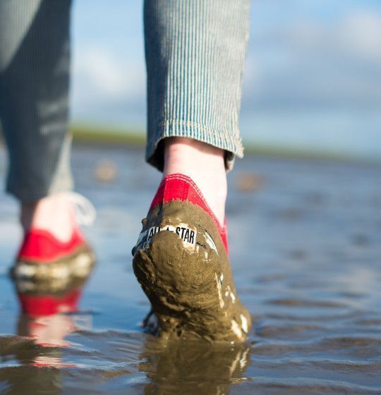 Walk on the floor of the Wadden sea - Tourist Information 