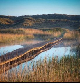 Endless walks. - VVV Ameland