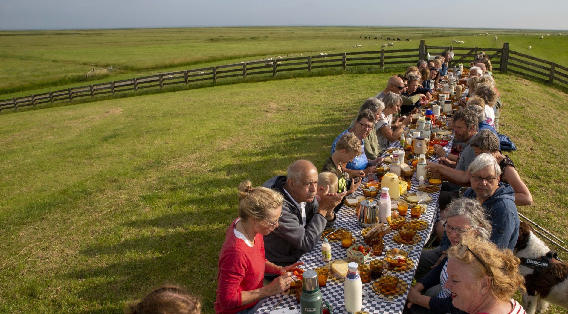 Day of the Wadden Sea - Tourist information 