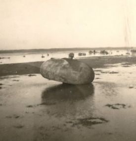 Ameland during the Second World War - VVV Ameland