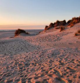 Golden moments - VVV Ameland