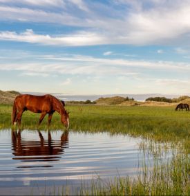 The outdoors- VVV Ameland