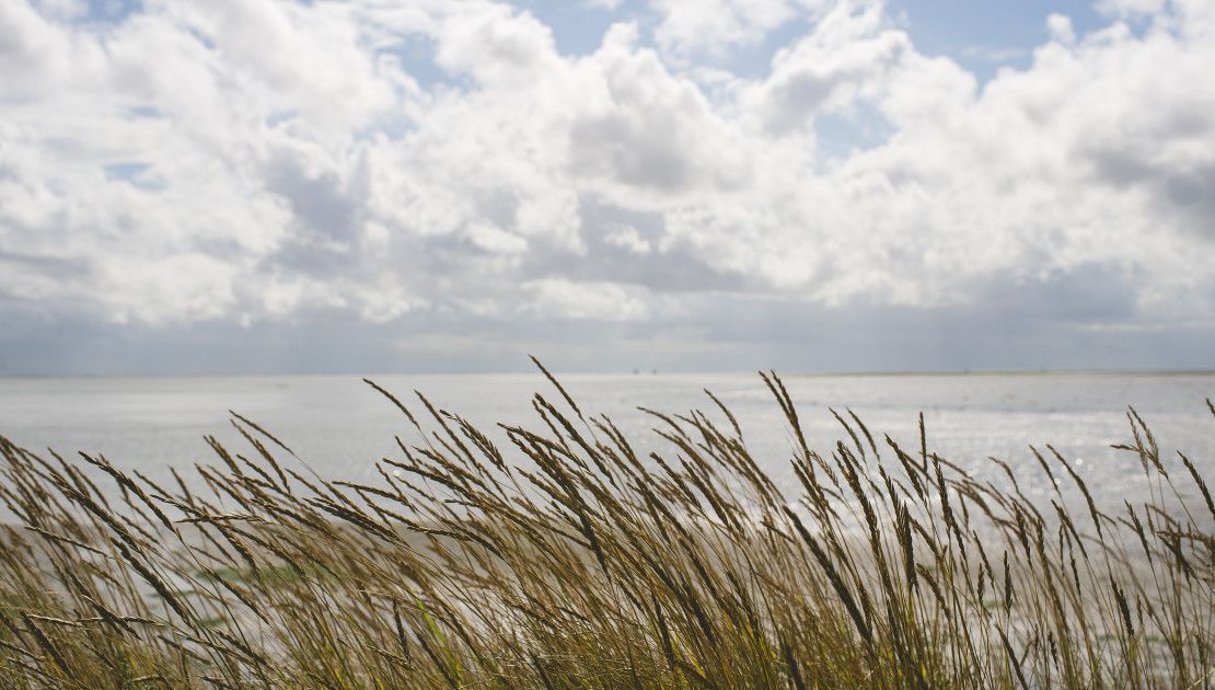 Differences by location - Tourist Information 'VVV' Ameland