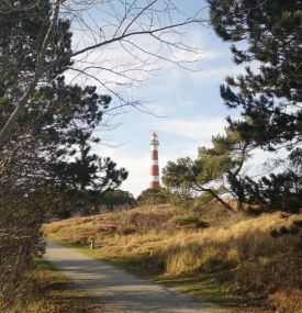 A day on Ameland - VVV Ameland