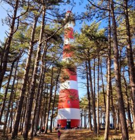 A day on Ameland - VVV Ameland