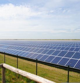 Sustainable choices.... - VVV Ameland