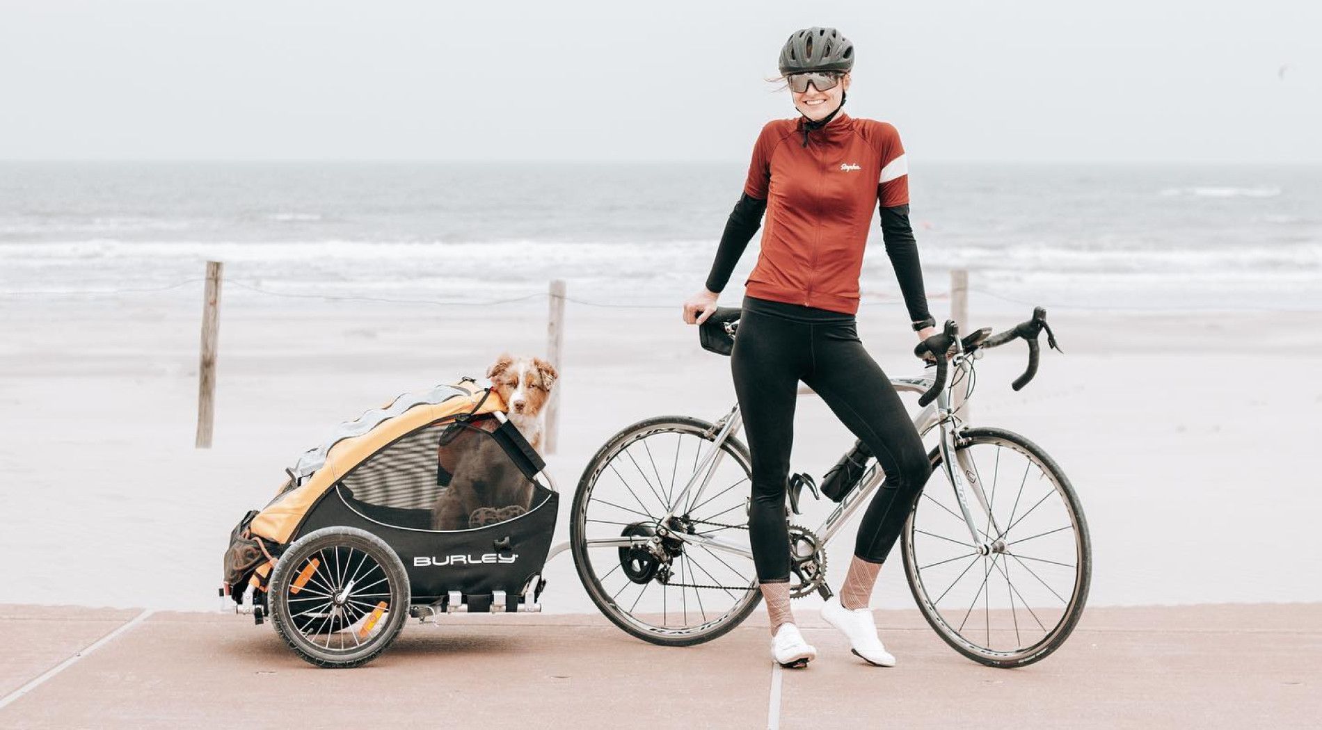 Cycling with dog- Touritst Information