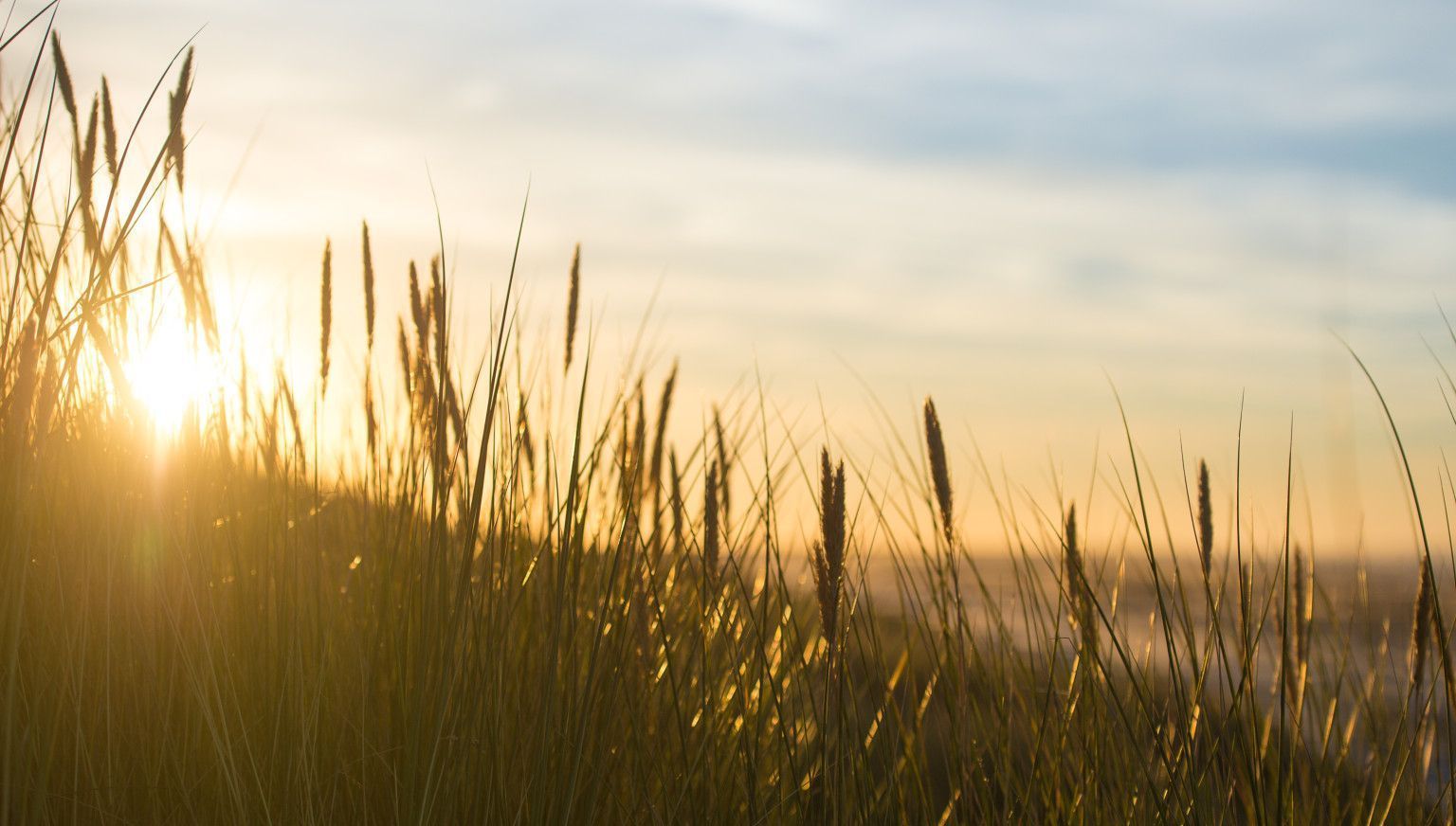Discover the most beautiful sunsets on Ameland - VVV Ameland