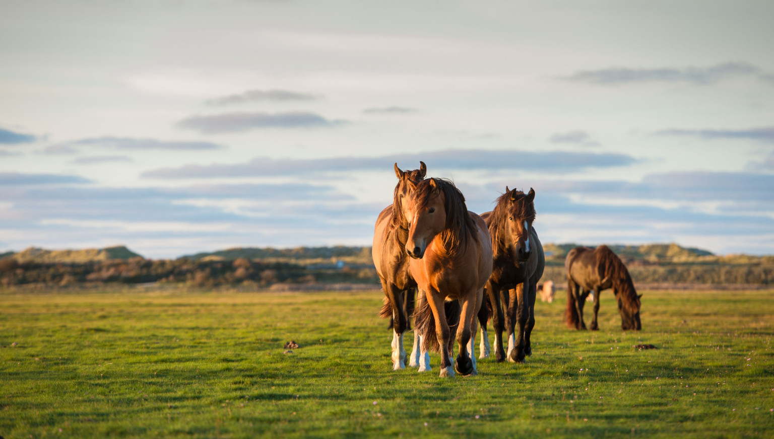 Autumn holiday on Ameland - VVV Ameland