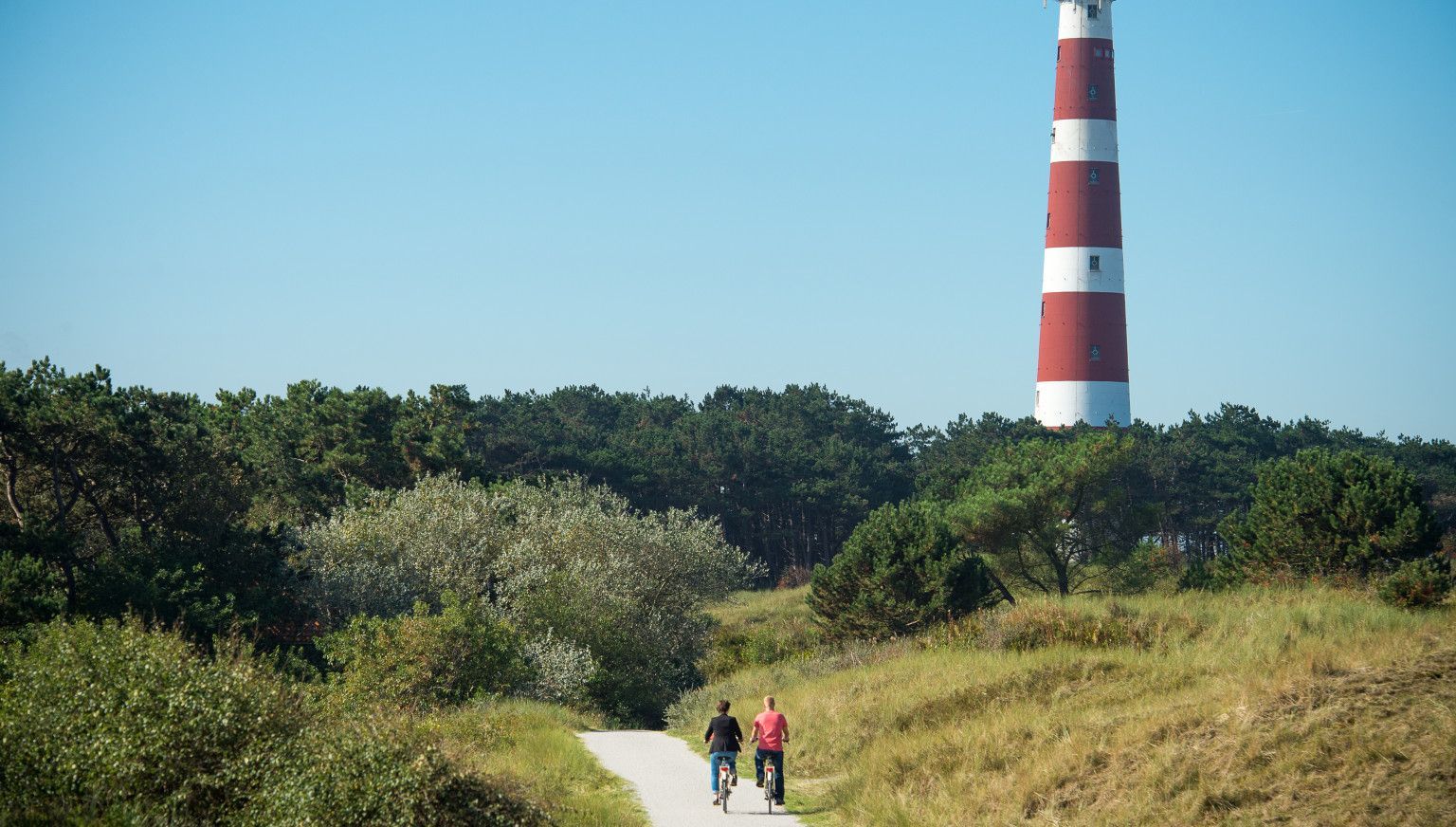 The Hollumer forest - VVV Ameland