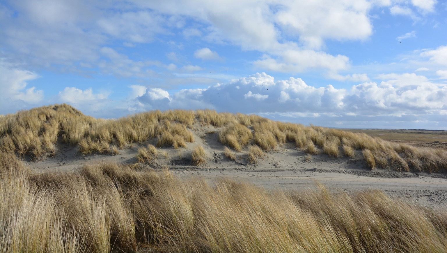 Day trip to Ameland: Island feeling in one day - VVV Ameland